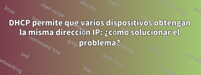 DHCP permite que varios dispositivos obtengan la misma dirección IP: ¿cómo solucionar el problema?