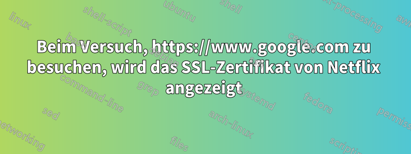 Beim Versuch, https://www.google.com zu besuchen, wird das SSL-Zertifikat von Netflix angezeigt