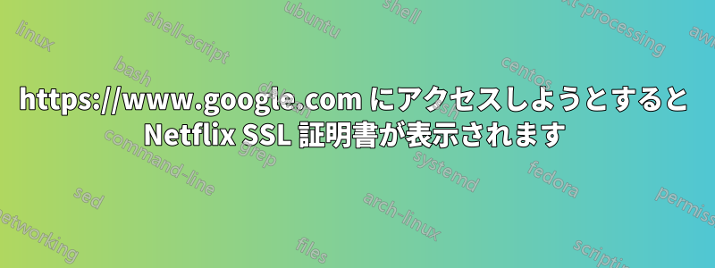 https://www.google.com にアクセスしようとすると Netflix SSL 証明書が表示されます