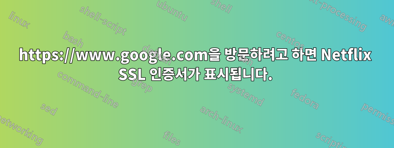 https://www.google.com을 방문하려고 하면 Netflix SSL 인증서가 표시됩니다.