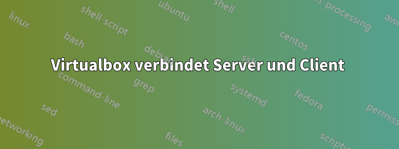 Virtualbox verbindet Server und Client