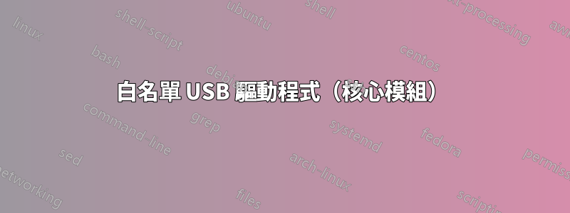 白名單 USB 驅動程式（核心模組）