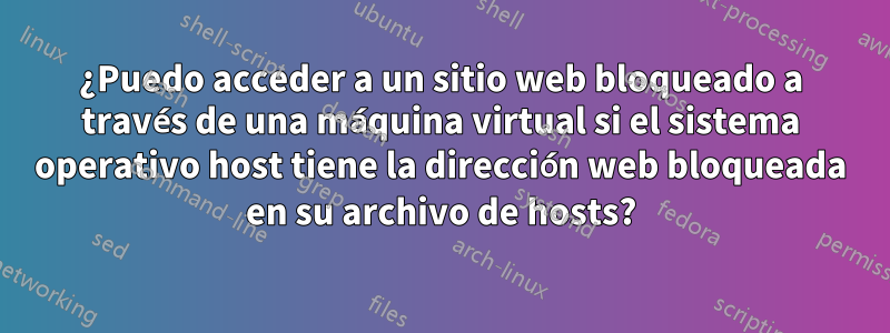 ¿Puedo acceder a un sitio web bloqueado a través de una máquina virtual si el sistema operativo host tiene la dirección web bloqueada en su archivo de hosts?