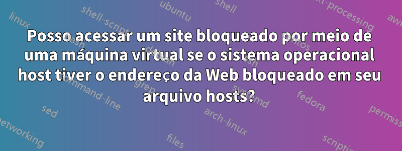 Posso acessar um site bloqueado por meio de uma máquina virtual se o sistema operacional host tiver o endereço da Web bloqueado em seu arquivo hosts?