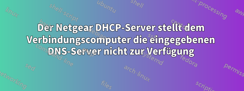 Der Netgear DHCP-Server stellt dem Verbindungscomputer die eingegebenen DNS-Server nicht zur Verfügung