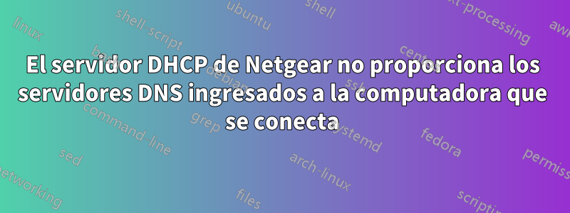 El servidor DHCP de Netgear no proporciona los servidores DNS ingresados ​​a la computadora que se conecta