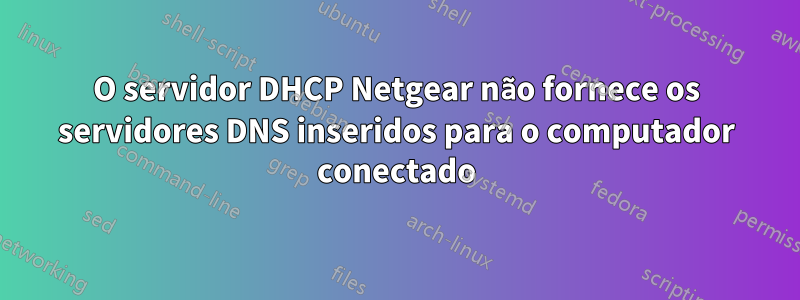 O servidor DHCP Netgear não fornece os servidores DNS inseridos para o computador conectado