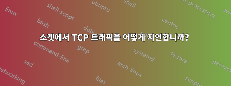 소켓에서 TCP 트래픽을 어떻게 지연합니까?