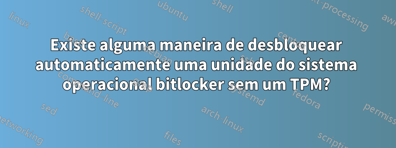 Existe alguma maneira de desbloquear automaticamente uma unidade do sistema operacional bitlocker sem um TPM?