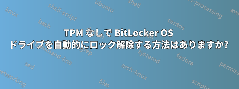 TPM なしで BitLocker OS ドライブを自動的にロック解除する方法はありますか?