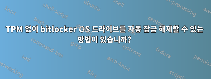 TPM 없이 bitlocker OS 드라이브를 자동 잠금 해제할 수 있는 방법이 있습니까?