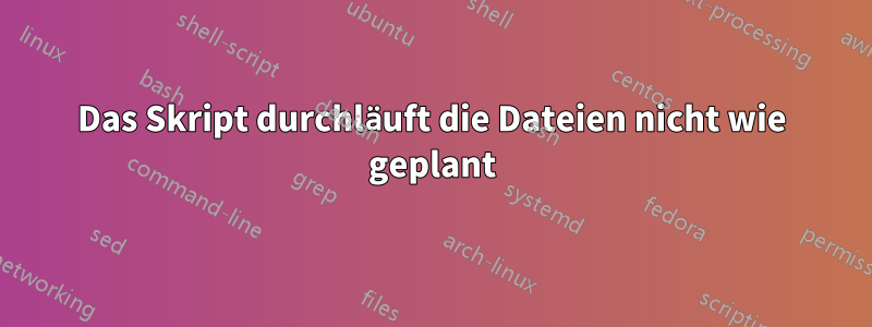 Das Skript durchläuft die Dateien nicht wie geplant