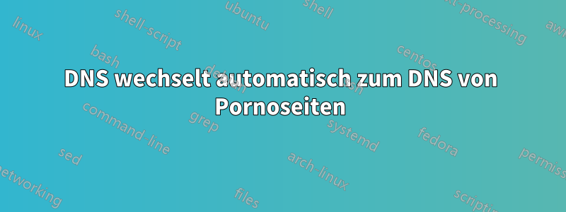 DNS wechselt automatisch zum DNS von Pornoseiten