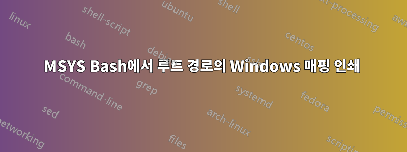 MSYS Bash에서 루트 경로의 Windows 매핑 인쇄