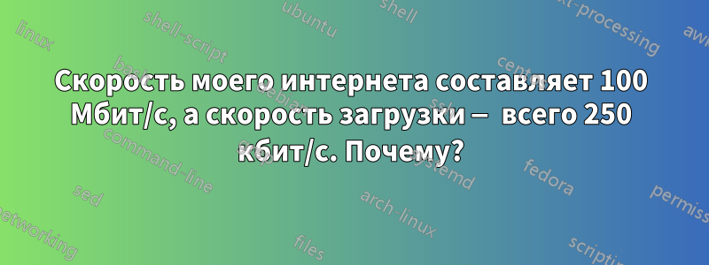 Скорость моего интернета составляет 100 Мбит/с, а скорость загрузки — всего 250 кбит/с. Почему?