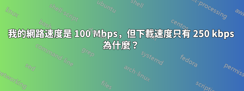 我的網路速度是 100 Mbps，但下載速度只有 250 kbps 為什麼？