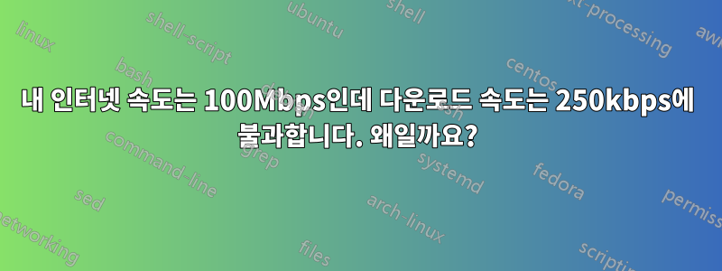 내 인터넷 속도는 100Mbps인데 다운로드 속도는 250kbps에 불과합니다. 왜일까요?