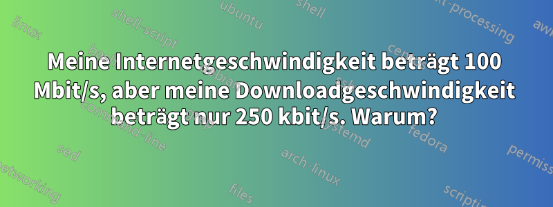 Meine Internetgeschwindigkeit beträgt 100 Mbit/s, aber meine Downloadgeschwindigkeit beträgt nur 250 kbit/s. Warum?