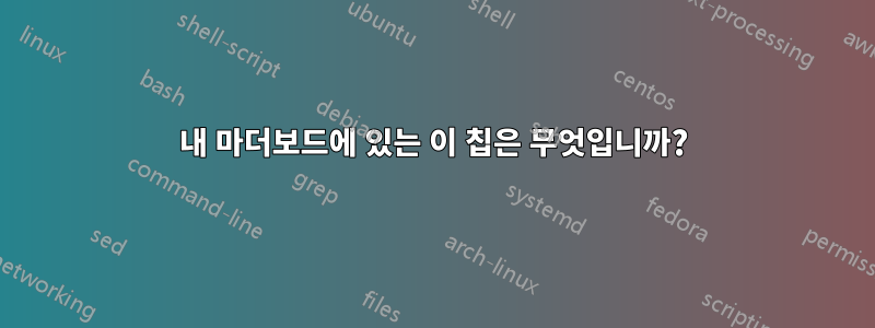 내 마더보드에 있는 이 칩은 무엇입니까?