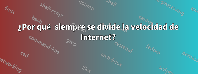 ¿Por qué siempre se divide la velocidad de Internet?