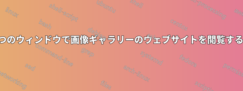 2つのウィンドウで画像ギャラリーのウェブサイトを閲覧する