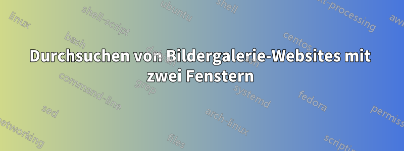 Durchsuchen von Bildergalerie-Websites mit zwei Fenstern