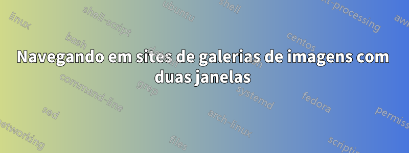 Navegando em sites de galerias de imagens com duas janelas