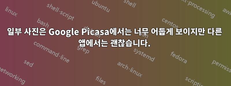 일부 사진은 Google Picasa에서는 너무 어둡게 보이지만 다른 앱에서는 괜찮습니다.