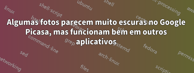 Algumas fotos parecem muito escuras no Google Picasa, mas funcionam bem em outros aplicativos