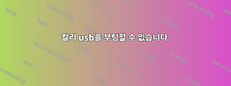 칼리 usb를 부팅할 수 없습니다