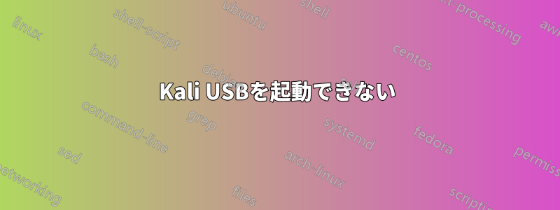 Kali USBを起動できない