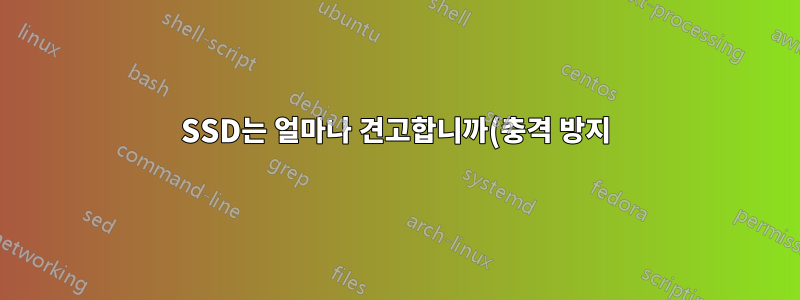 SSD는 얼마나 견고합니까(충격 방지)?