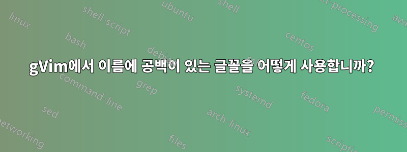 gVim에서 이름에 공백이 있는 글꼴을 어떻게 사용합니까?