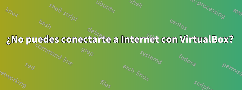 ¿No puedes conectarte a Internet con VirtualBox?