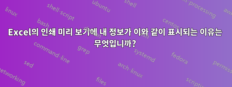 Excel의 인쇄 미리 보기에 내 정보가 이와 같이 표시되는 이유는 무엇입니까?