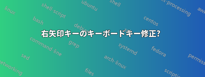 右矢印キーのキーボードキー修正? 