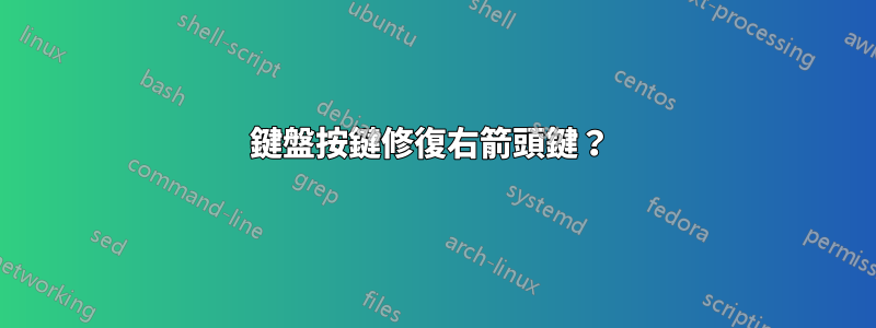 鍵盤按鍵修復右箭頭鍵？ 