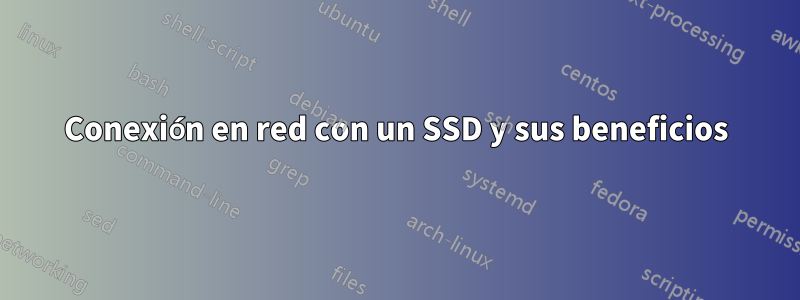 Conexión en red con un SSD y sus beneficios