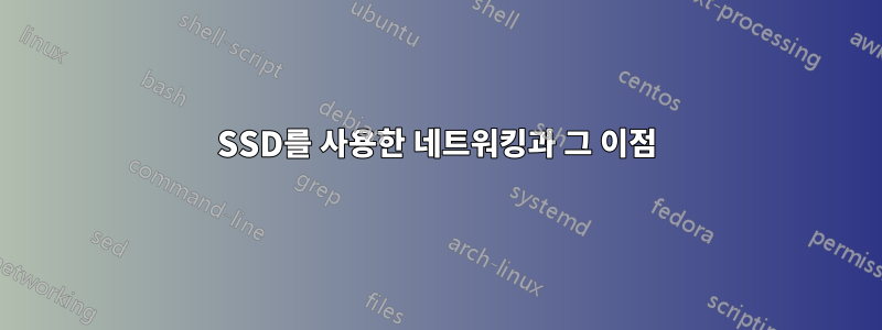 SSD를 사용한 네트워킹과 그 이점