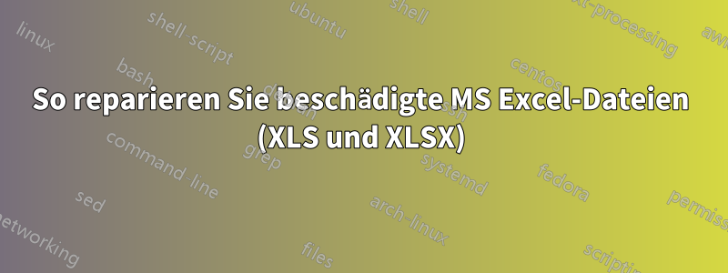 So reparieren Sie beschädigte MS Excel-Dateien (XLS und XLSX)