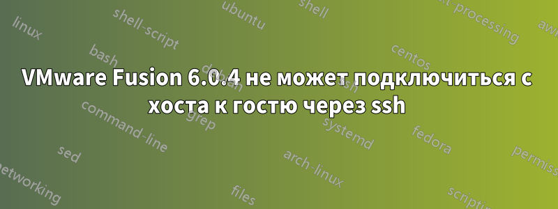 VMware Fusion 6.0.4 не может подключиться с хоста к гостю через ssh