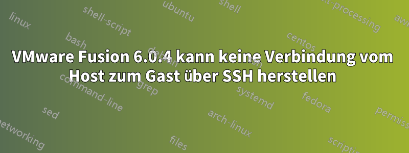 VMware Fusion 6.0.4 kann keine Verbindung vom Host zum Gast über SSH herstellen