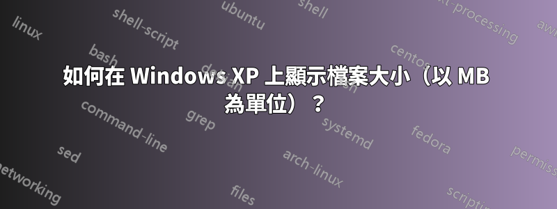 如何在 Windows XP 上顯示檔案大小（以 MB 為單位）？