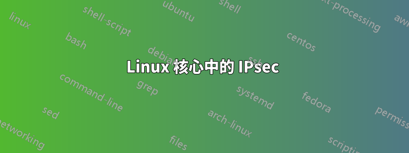 Linux 核心中的 IPsec