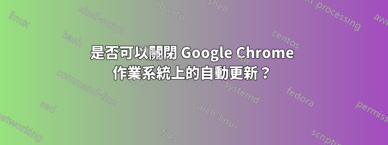 是否可以關閉 Google Chrome 作業系統上的自動更新？