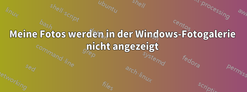 Meine Fotos werden in der Windows-Fotogalerie nicht angezeigt