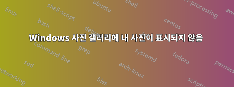 Windows 사진 갤러리에 내 사진이 표시되지 않음
