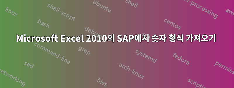 Microsoft Excel 2010의 SAP에서 숫자 형식 가져오기