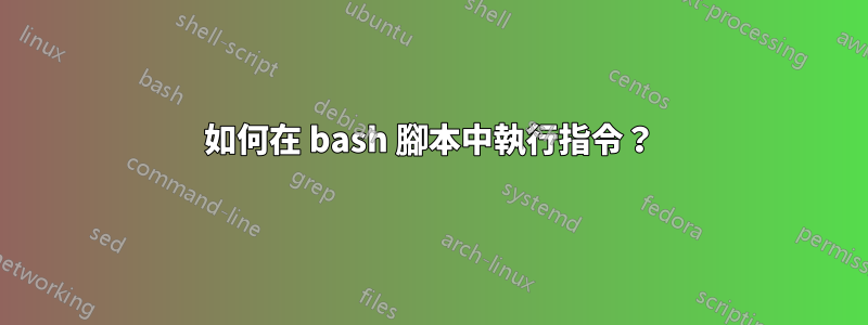 如何在 bash 腳本中執行指令？