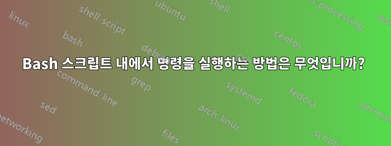 Bash 스크립트 내에서 명령을 실행하는 방법은 무엇입니까?